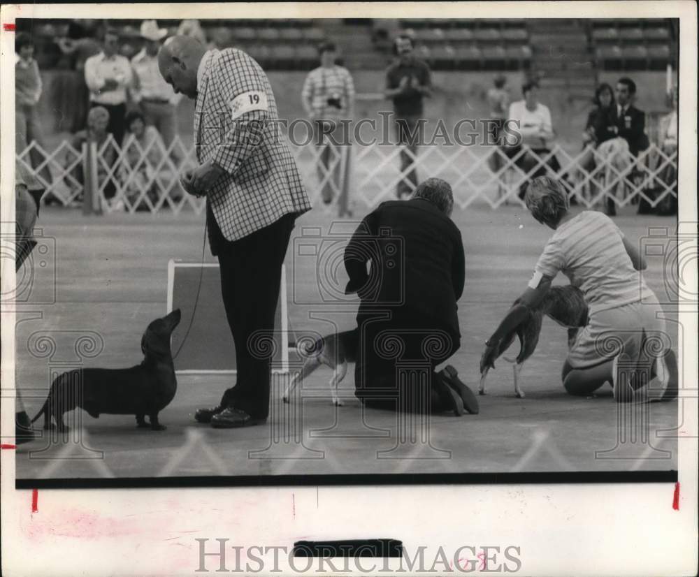 1976 Press Photo Dogs and their handlers at dog show in Houston,Texas.- Historic Images