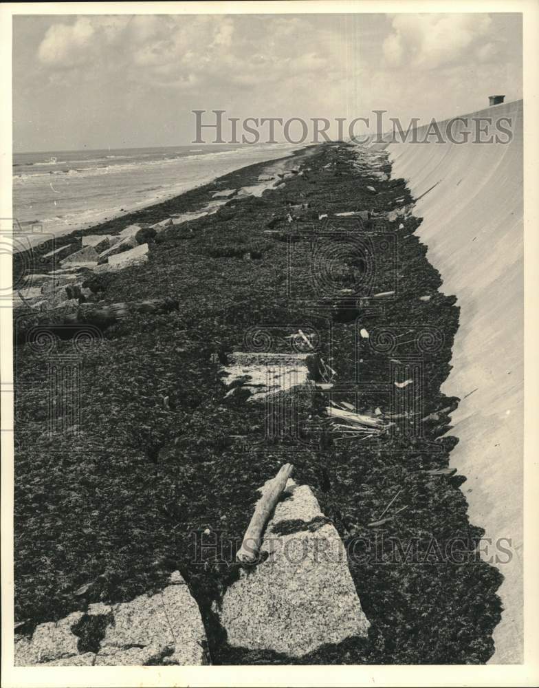 1962 Press Photo Granite rip-rap covered with weeds left to rot and stink.- Historic Images