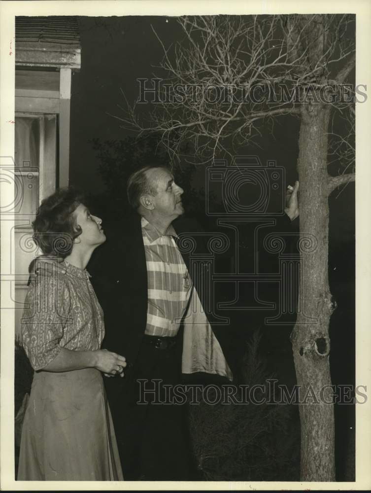 1964 Press Photo People observe smoke damaged tree in Galena Park - hpa07835