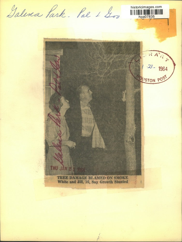 1964 Press Photo People observe smoke damaged tree in Galena Park - hpa07835