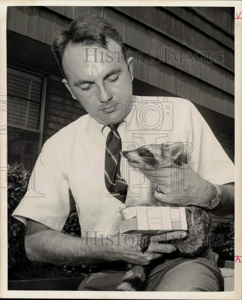 1967 Press Photo Askew comforts King 'Coon after leg splinted from trap injury