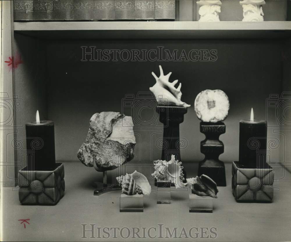 1989 Press Photo Shells and rocks displayed in Hobson Family room. - hpa24163- Historic Images