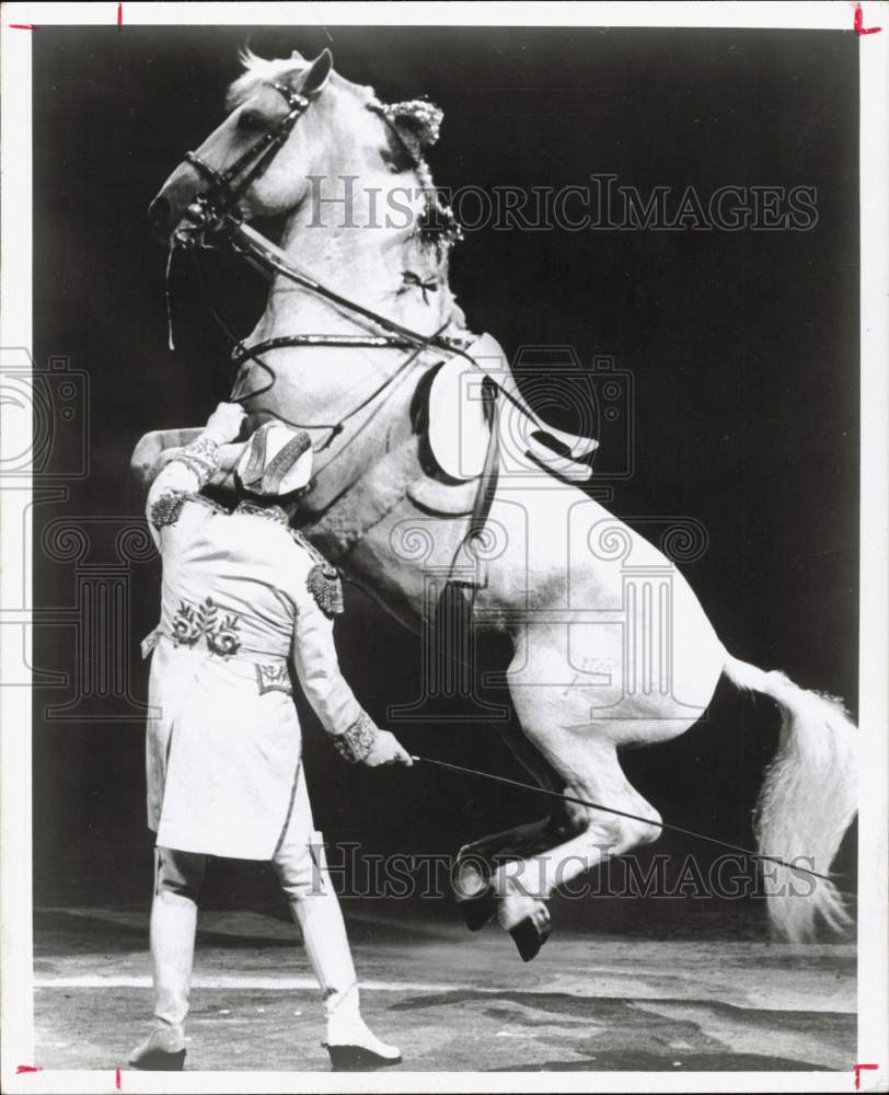 1973 Press Photo Lipizzan Stallion in Horse Show at Sam Houston Coliseum- Historic Images