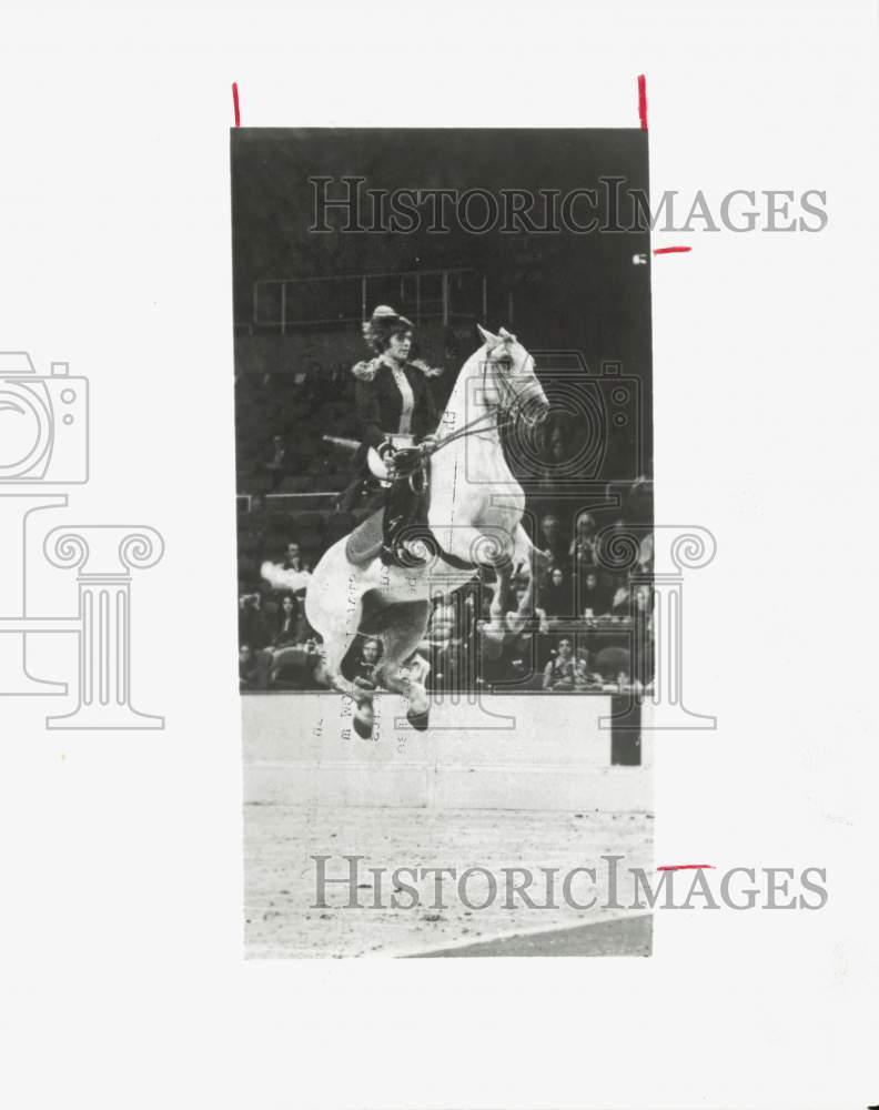 1982 Press Photo Rider on Lipizzaner Horse for Stallion Show - hpa26678- Historic Images