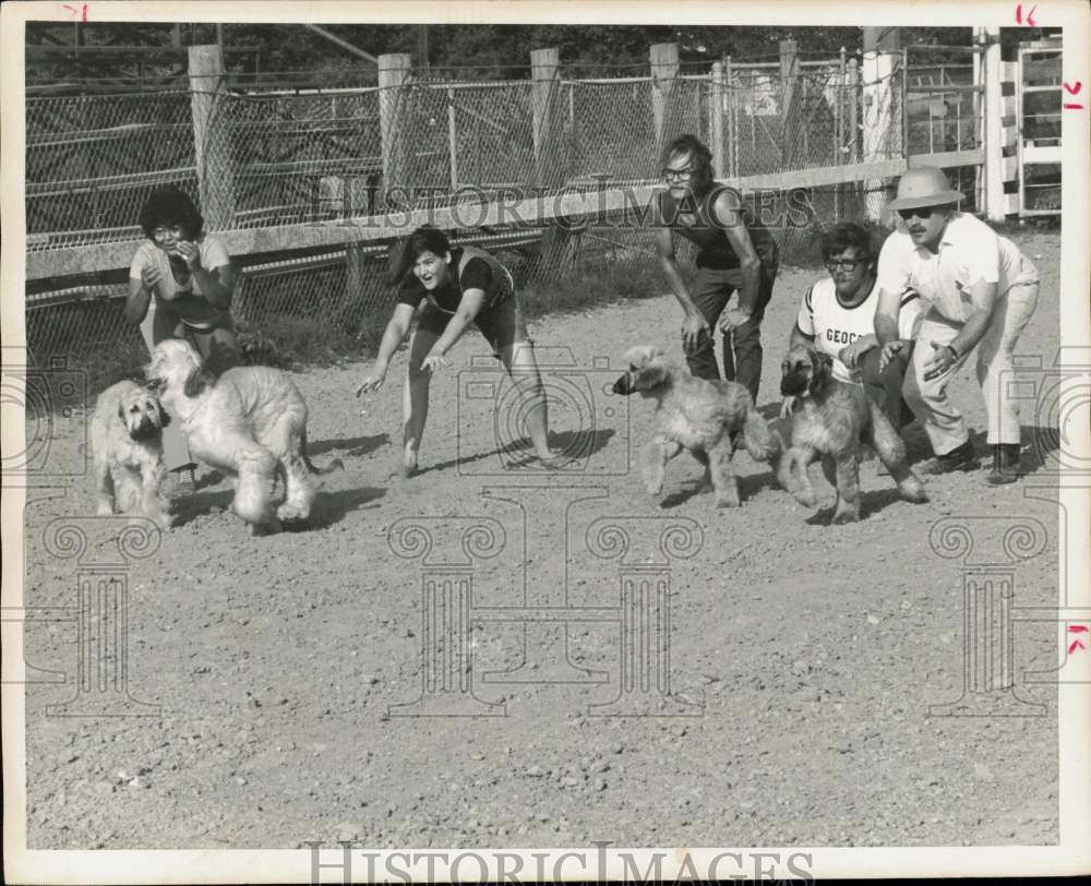 1972 Press Photo People Race Afghan Hounds, Texas - hpa28051- Historic Images