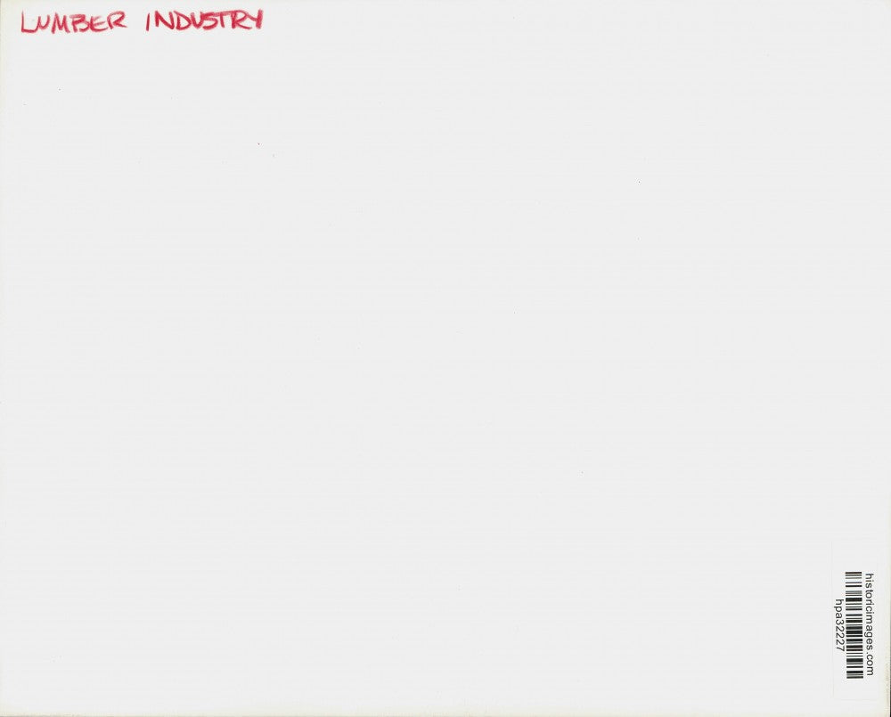 Press Photo Long Stack of Wood - hpa32227