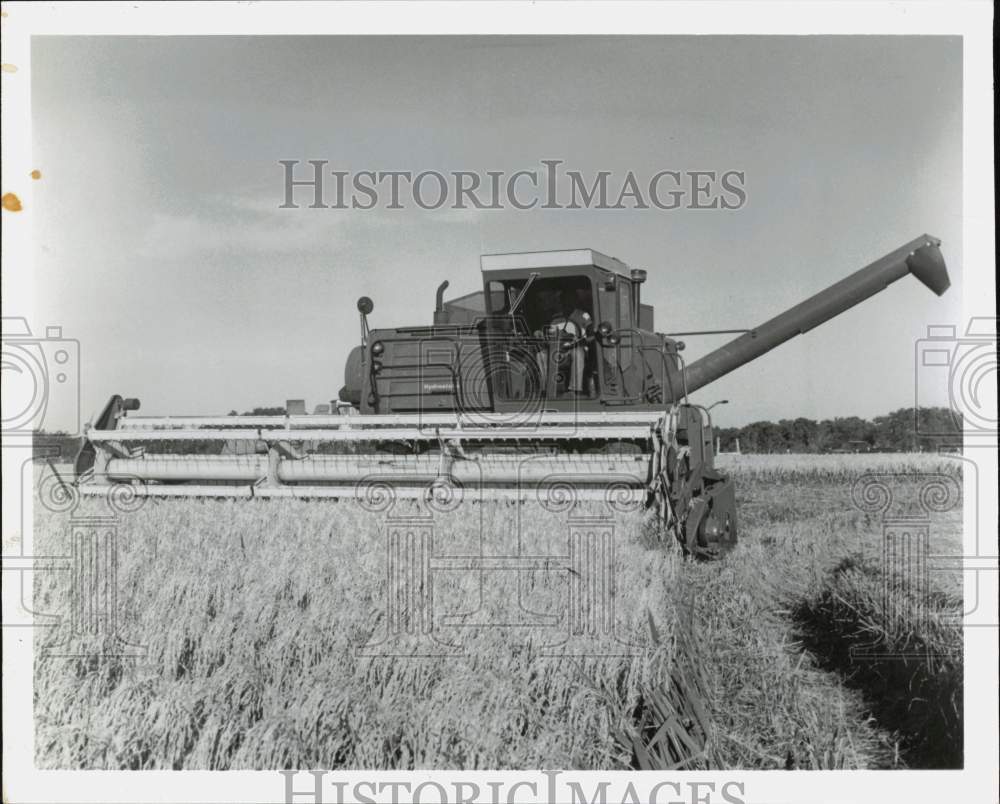 1987 Press Photo Rice Industry Equipment Moving Through Field - hpa33361- Historic Images