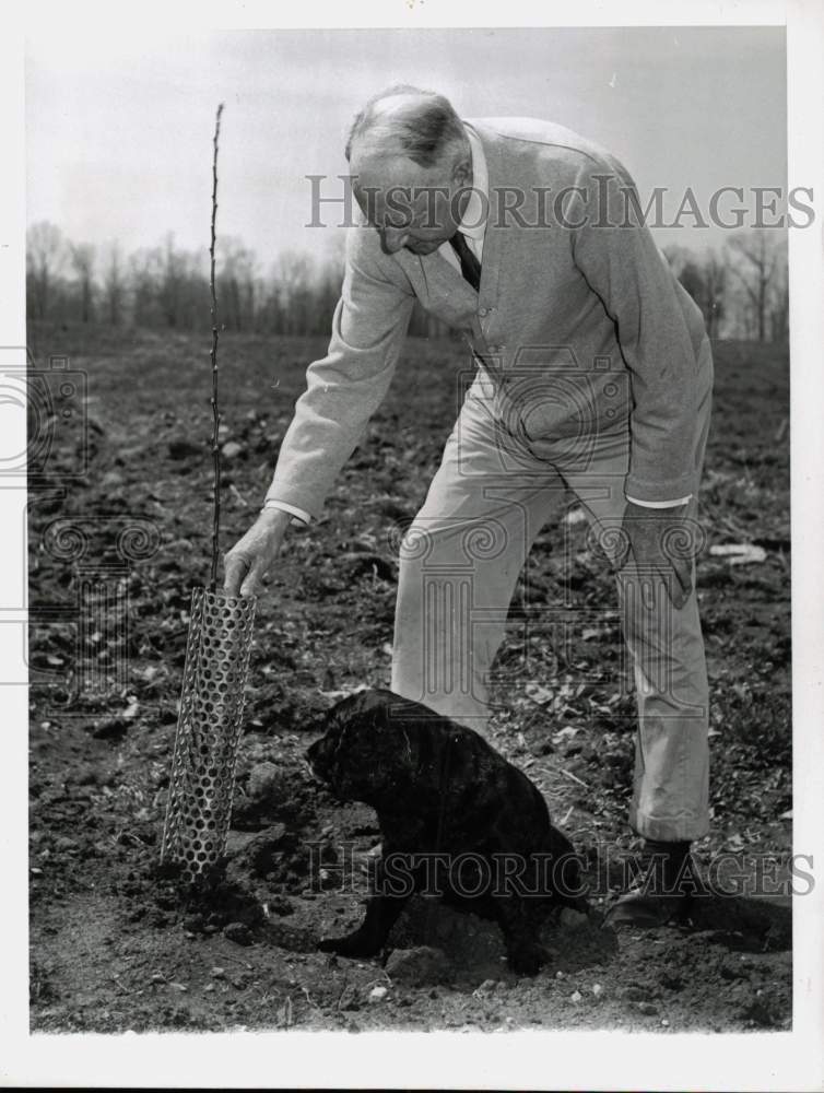 1961 Press Photo Senator Harry F. Byrd, Dog Check New Apple Tree, Virginia- Historic Images