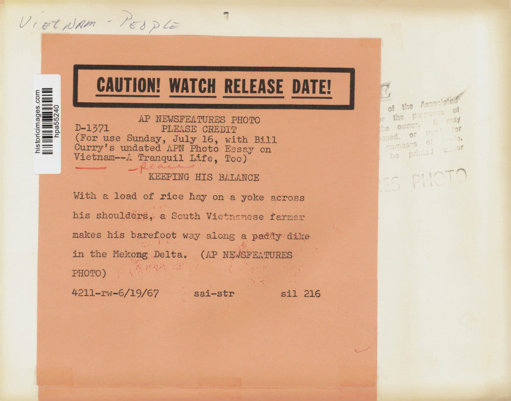 1967 Press Photo South Vietnamese farmer walks across paddy dike in Mekong Delta