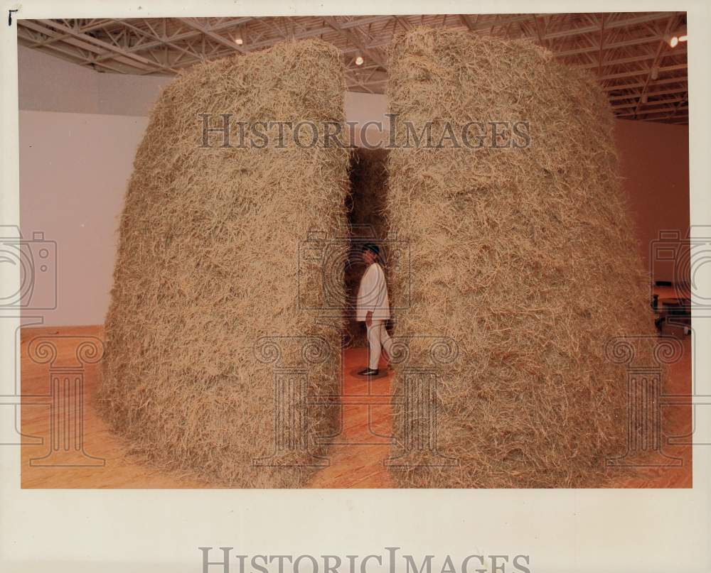 1991 Press Photo Contemporary Arts Museum visitor at exhibit by Meg Webster, TX.- Historic Images