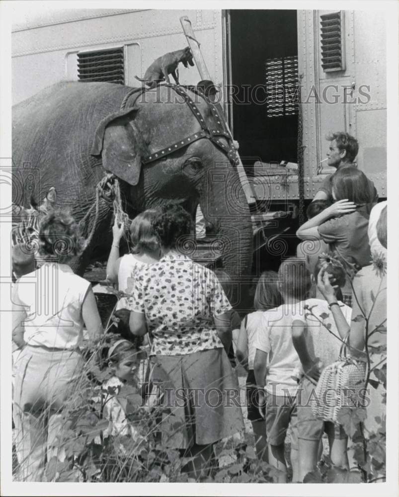 1965 Press Photo Crowd watches Ringling Bros. circus animals unloaded from train- Historic Images