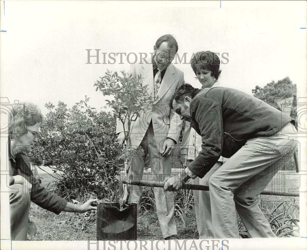 1973 Press Photo Mr. and Mrs. Joe Ross with Lakeside Club members care for tree- Historic Images