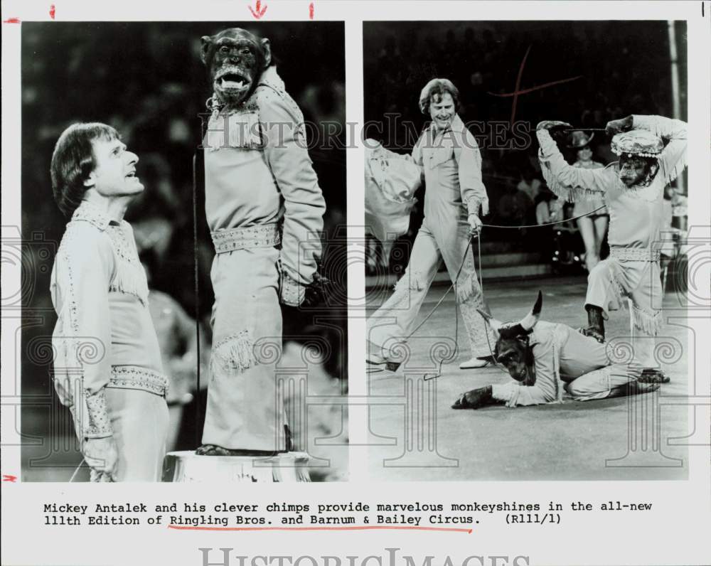 1982 Press Photo Mickey Antalek and his chimps perform in Ringling Bros. circus.- Historic Images