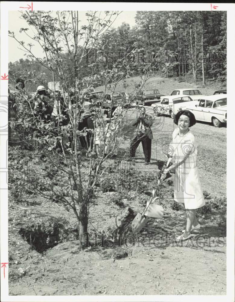 1966 Press Photo Lady Bird Johnson Plants Dogwood Tree in Dumphries, Virginia- Historic Images