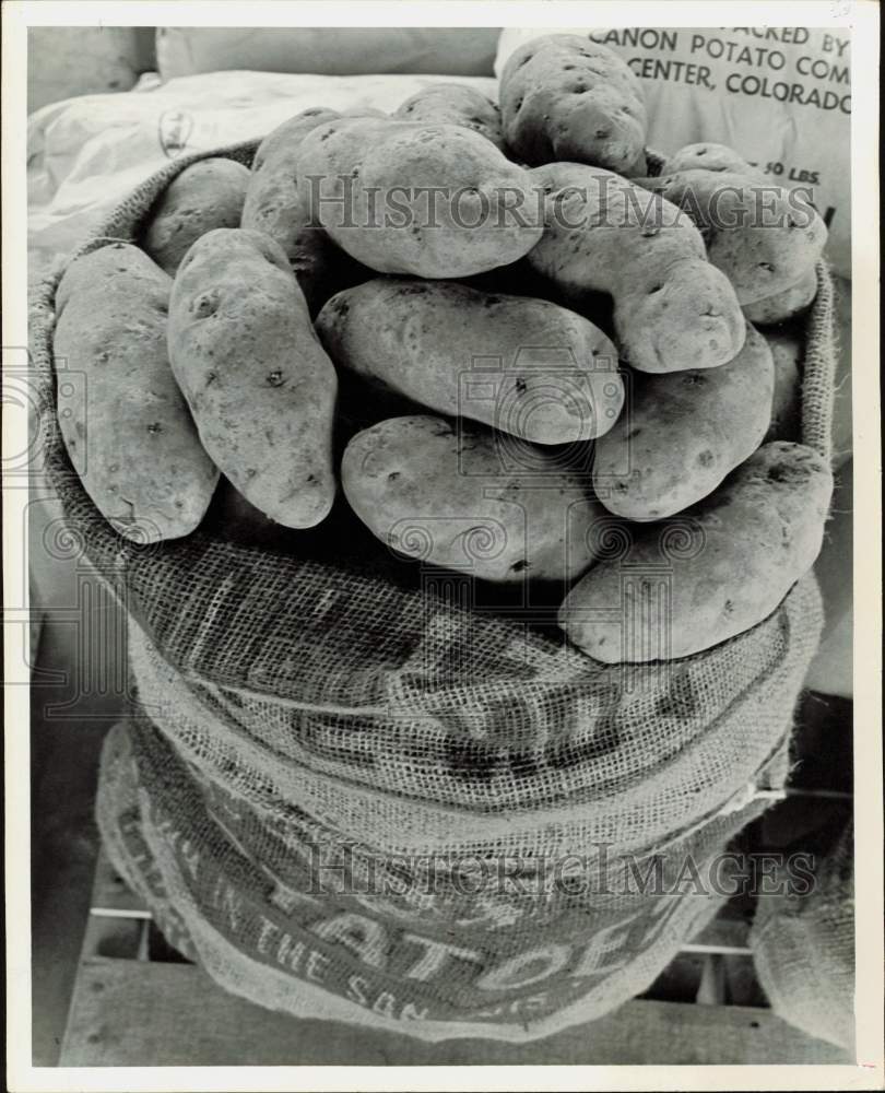 1977 Press Photo Sack of Potatoes - hpa89587- Historic Images