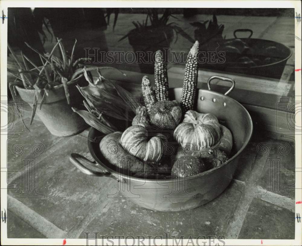 1972 Press Photo Gourd Vegetables &amp; Corn on Display - hpa89925- Historic Images