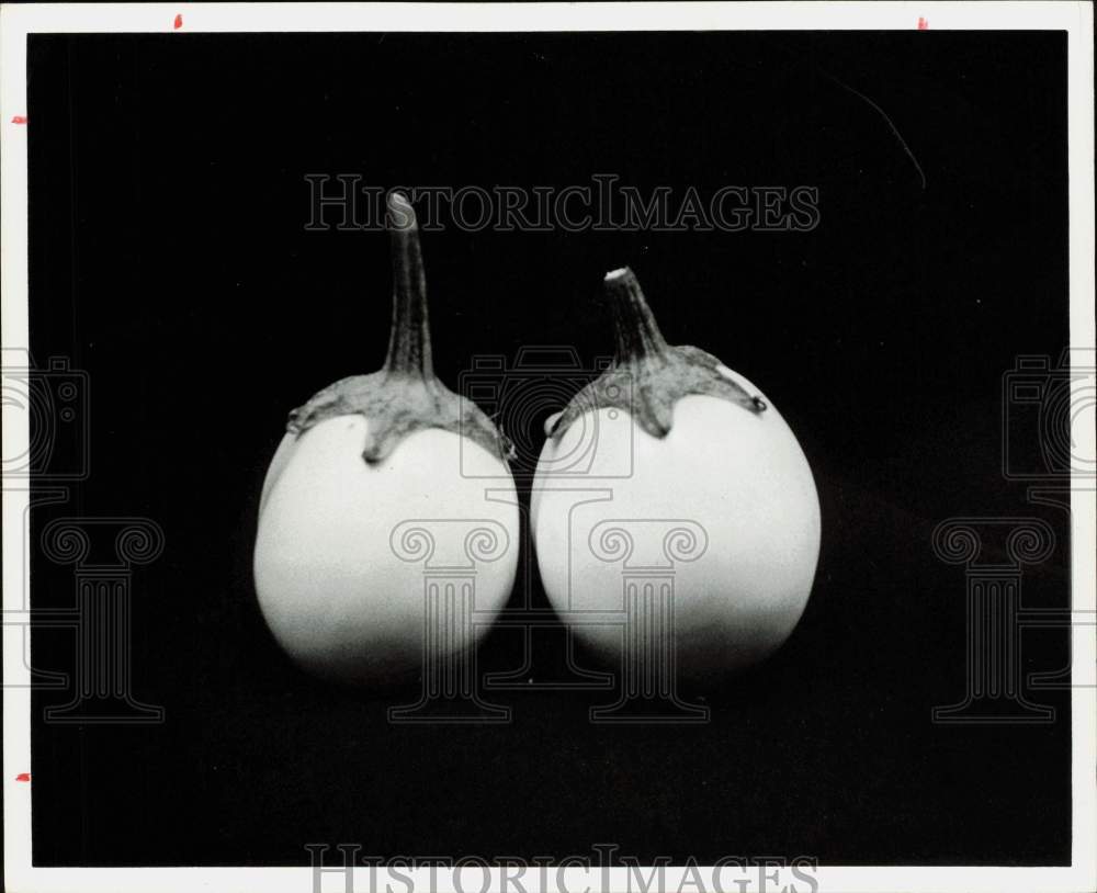 1976 Press Photo White Eggplants - hpa89926- Historic Images