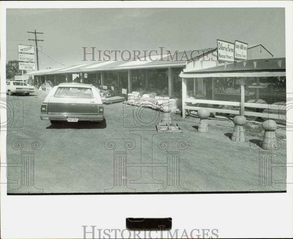 1977 Press Photo Dilorio Farms Roadside Market, Vegetables - hpa89928- Historic Images