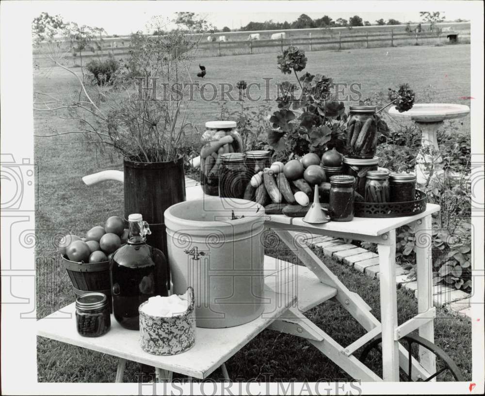 1979 Press Photo Farm Fresh Vegetables, Houston - hpa90116- Historic Images