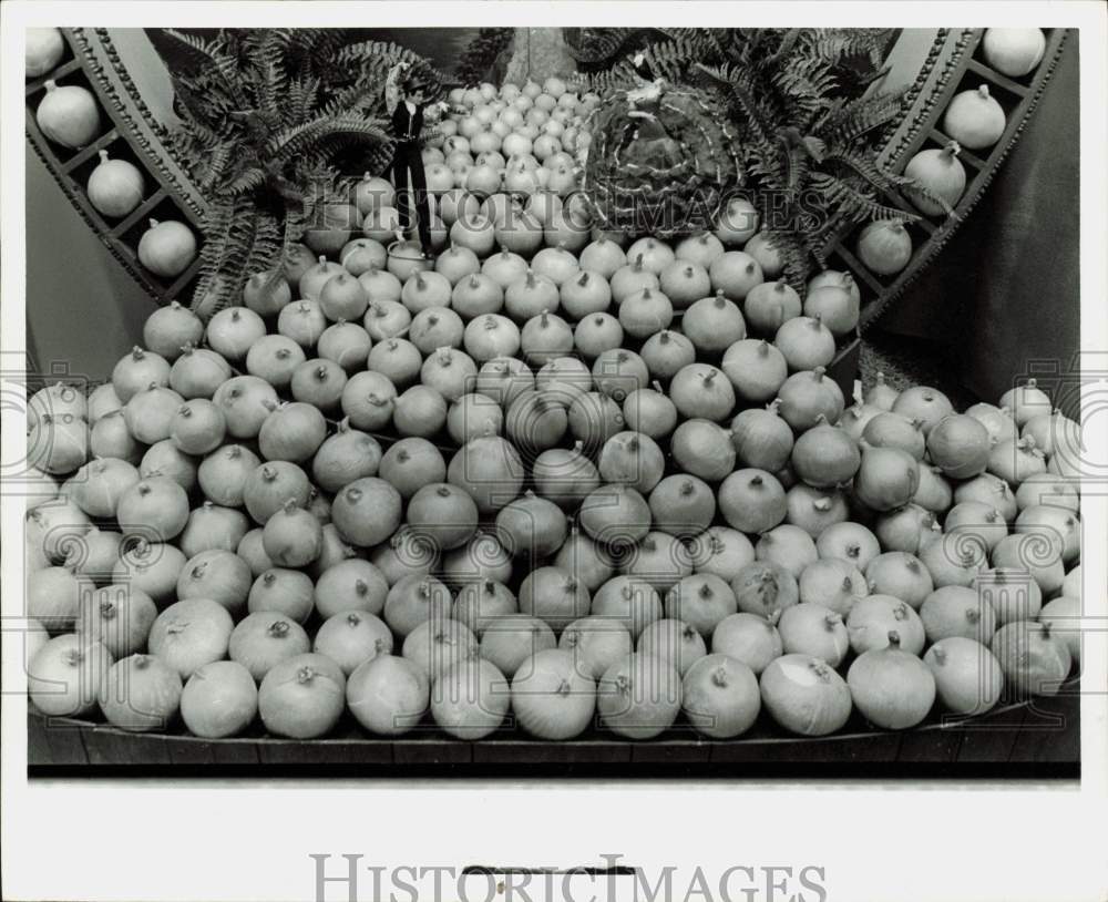 1977 Press Photo Display of Onions, Vegetables - hpa90224- Historic Images