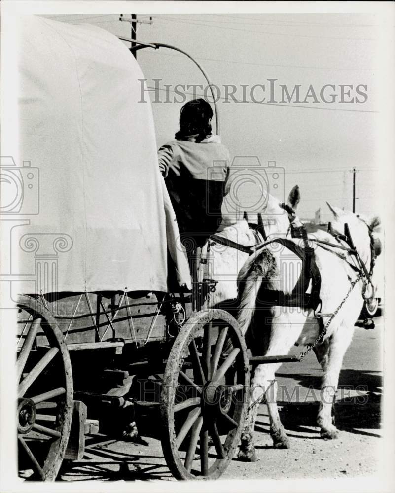 1966 Press Photo Trail Ride participant in wagon pulled by mules in Texas- Historic Images