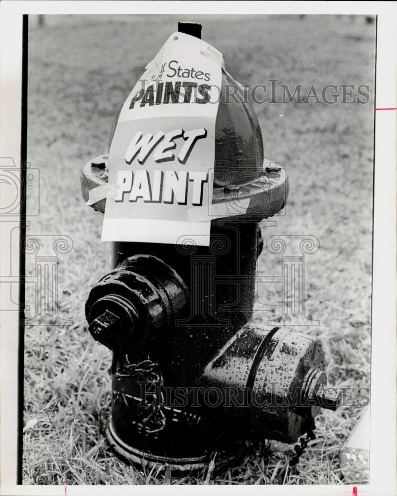 1978 Press Photo Fire hydrant wet paint sign that dried week earlier.- Historic Images