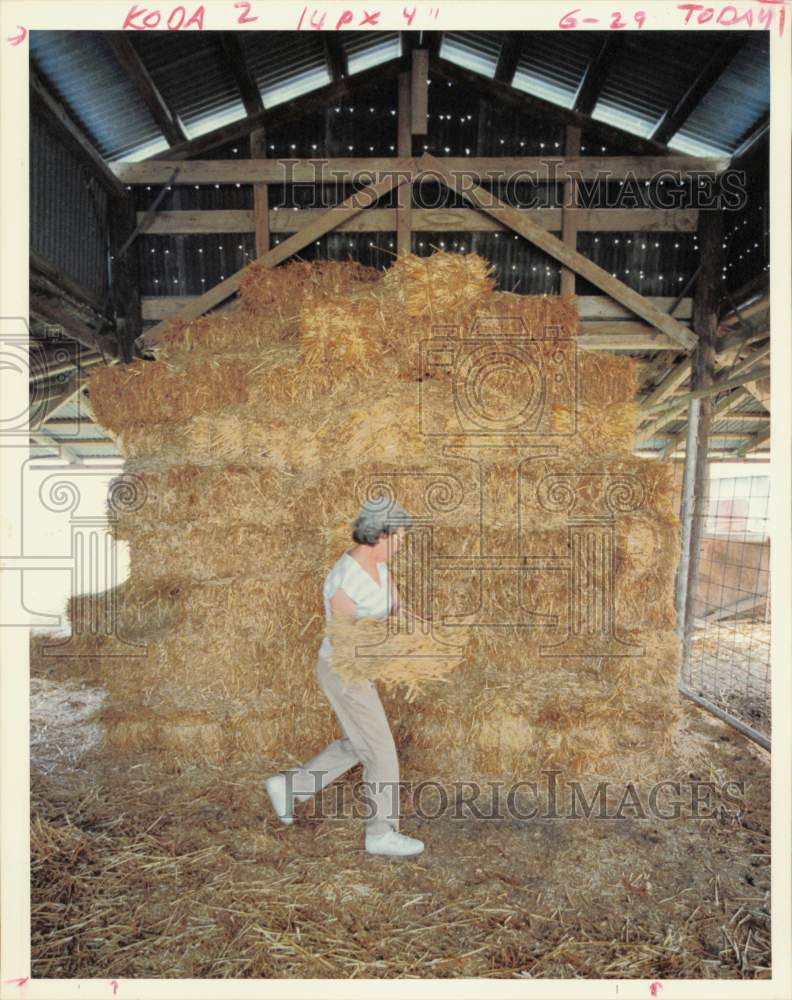 1988 Press Photo Ludell Boldt stockpiles hay in hear empty barn. - hpa99338- Historic Images