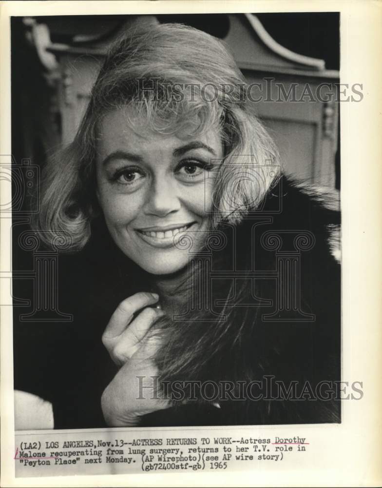 1965 Press Photo Actress Dorothy Malone returns to work on &quot;Peyton Place.&quot;- Historic Images