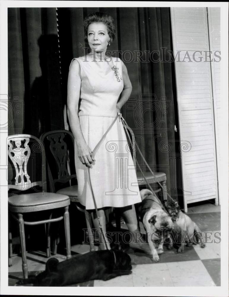 1965 Press Photo Actress Sylvia Sidney with Her Three Pugs - hpp22788- Historic Images