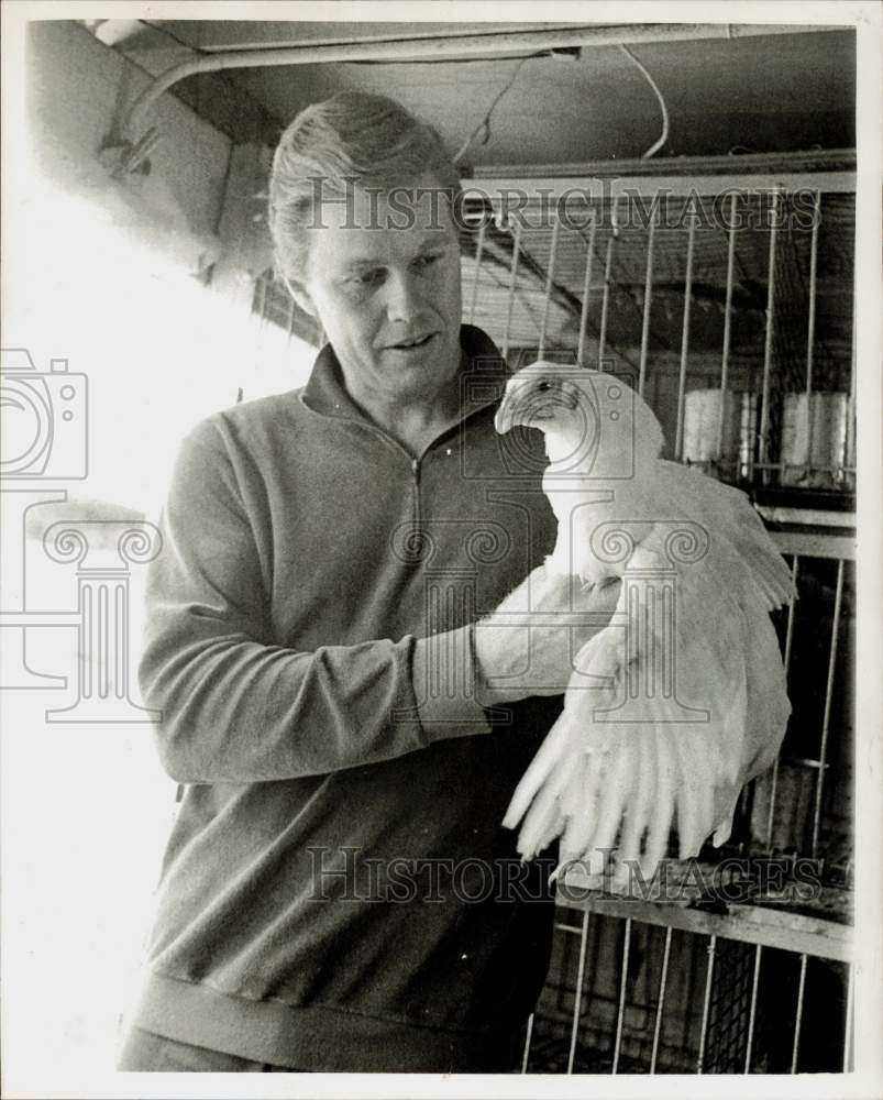 1966 Press Photo &quot;Camelot&quot; Star Harve Presnell Checks a Chicken in Houston- Historic Images