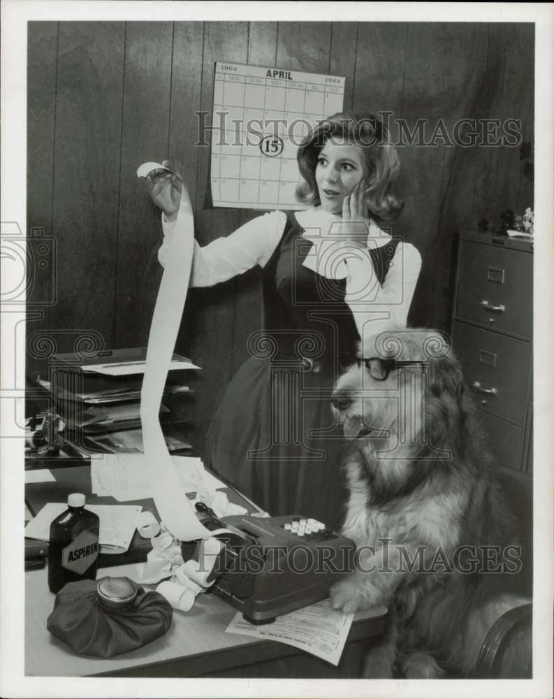 1964 Press Photo Actress Meredith MacCrea in Office Scene with Dog - hpp30242- Historic Images