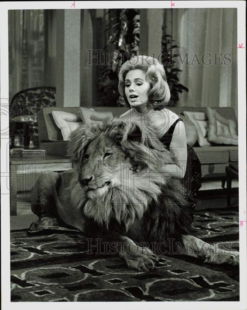 1965 Press Photo Actress Shirley Jones in a scene with an African lion.- Historic Images