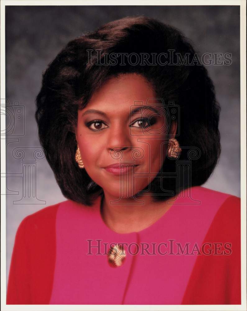 1991 Press Photo Marlene Mcclinton Khou Tv Channel 11 Hpp40807