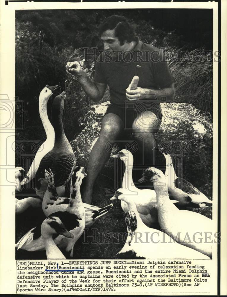 1972 Press Photo Miami Dolphins Nick Buoniconti feeds neighborhood ducks- Historic Images