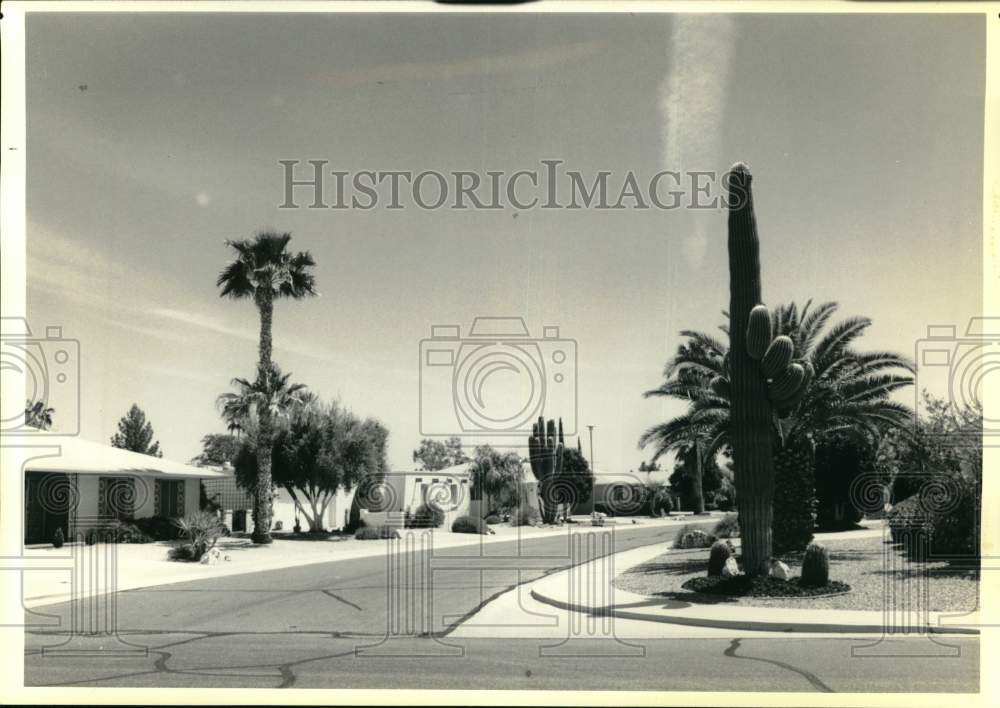 1990 Press Photo Rock Lawns, Cactus and Palm Trees of Sun City, Arizona- Historic Images