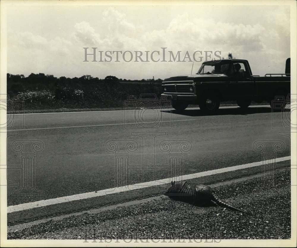 1978 Press Photo Armadillo crosses Highway near Lake Houston in Texas- Historic Images