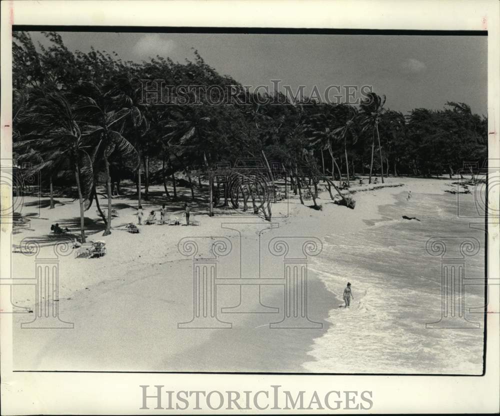 1977 Press Photo Tourists enjoy beach area of Barbados. - hps07646- Historic Images