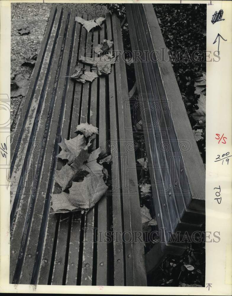 1975 Press Photo Breeze Blows Fall Leaves on University of Houston Bench- Historic Images