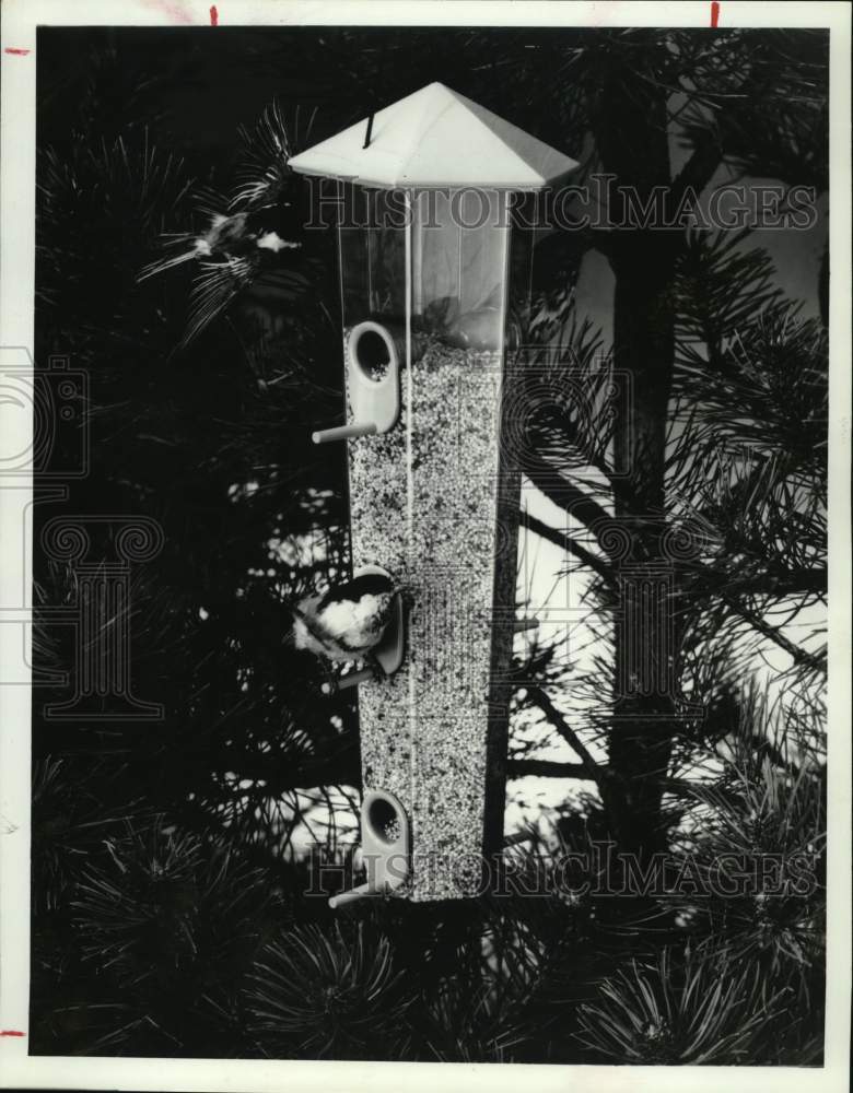 1980 Press Photo Rubbermaid Small-Bird Feeder with birds and seed - hps07803- Historic Images