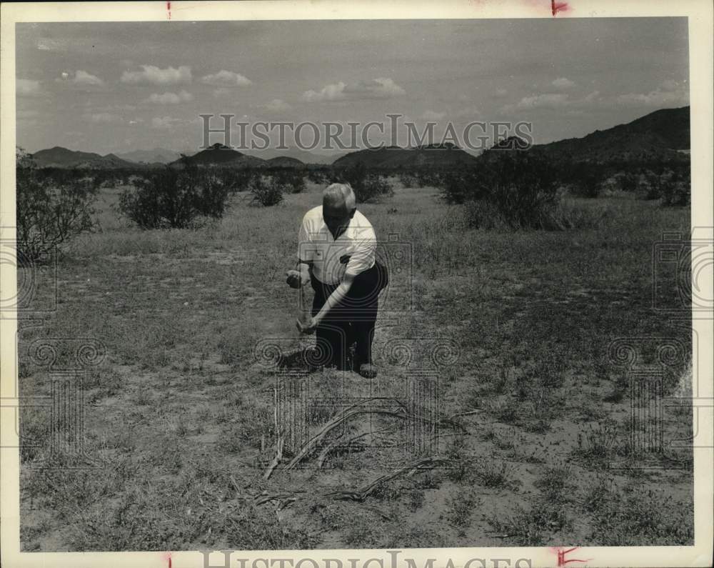 1965 Press Photo A man inspects soil in Deer Valley, Arizona - hps07954- Historic Images