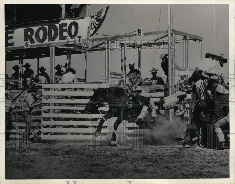 1965 Press Photo A bronc rider at the Phoenix World Championship Rodeo- Historic Images