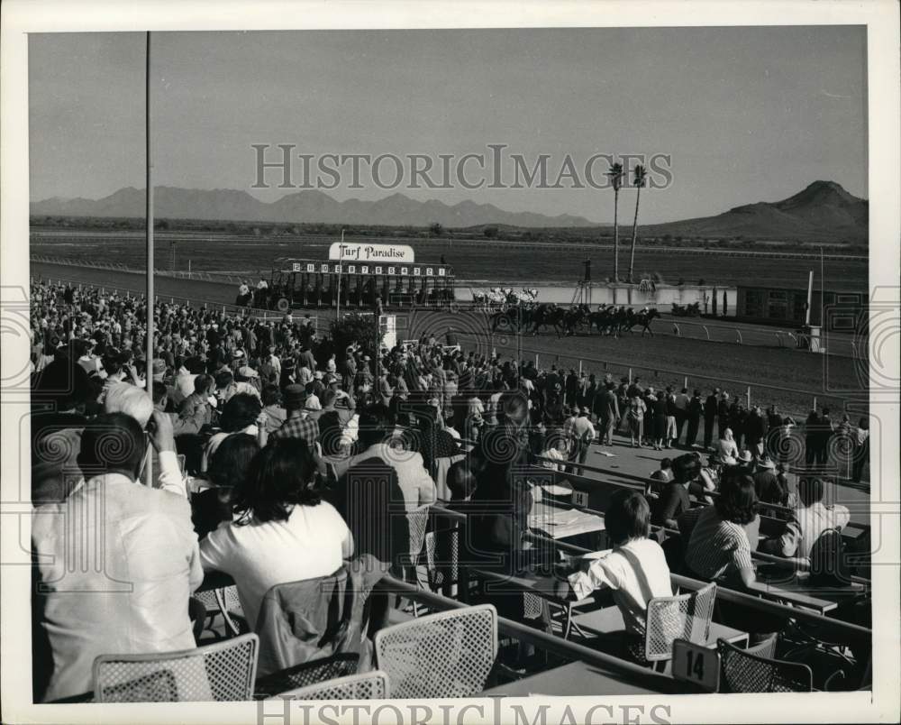 1965 Press Photo Horse Racing at Turf Paradise on outskirts of Phoenix- Historic Images