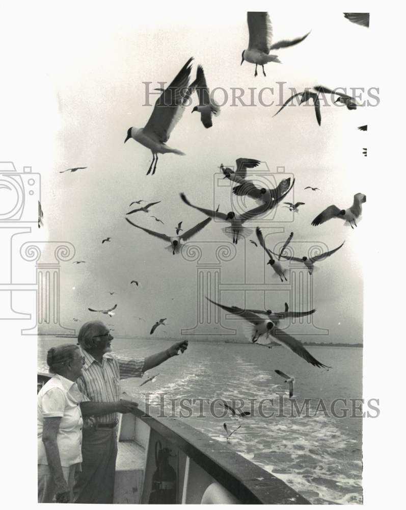 1981 Press Photo Couple feed Birds on Bolivar Ferry - hps10262- Historic Images