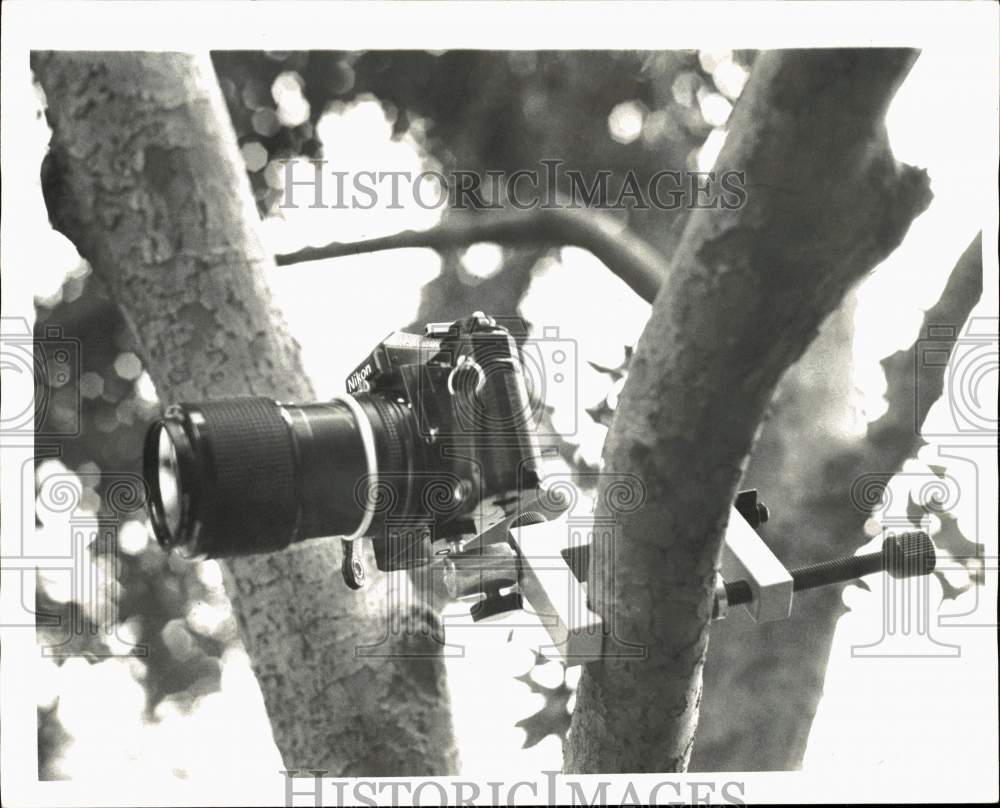 1978 Press Photo Champ-Pod holds Nikon Camera on Tree Branch - hps11259- Historic Images