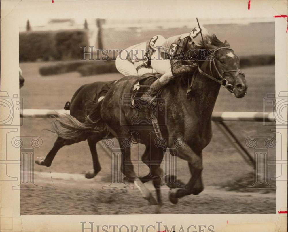 1980 Press Photo Jorge Valasquez, on racehorse Woodchopper, wins Louisiana Derby- Historic Images