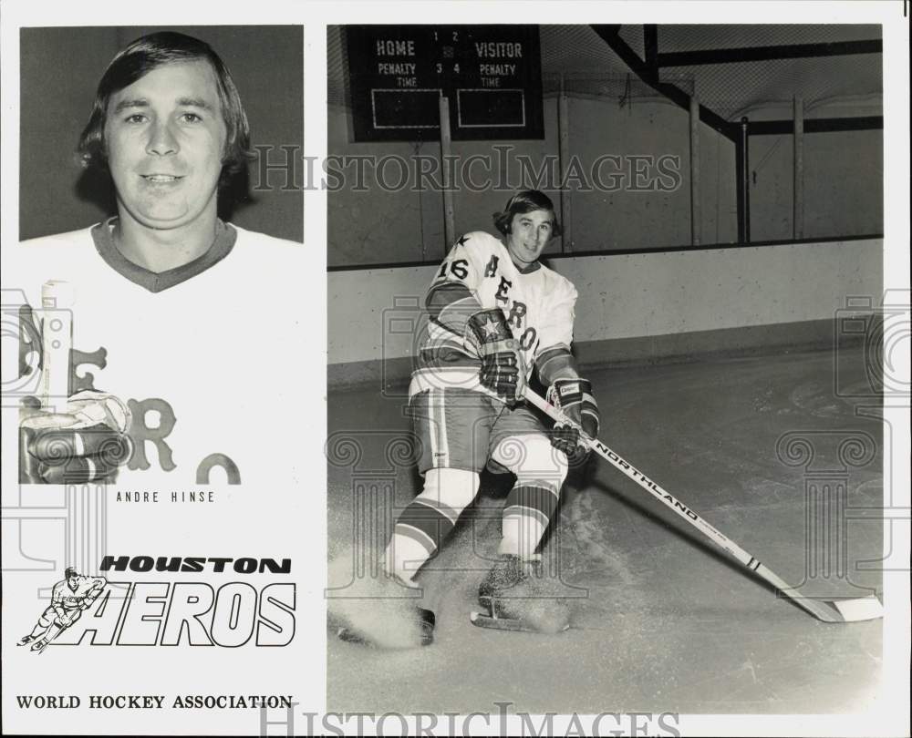 Press Photo Houston Aeros hockey player Andre Hinse - hps19759- Historic Images