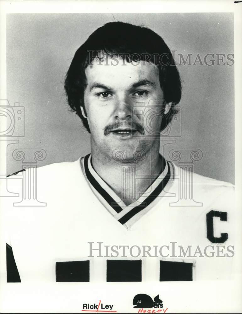 1976 Press Photo New England Whalers hockey player Rick Ley - hps20932- Historic Images