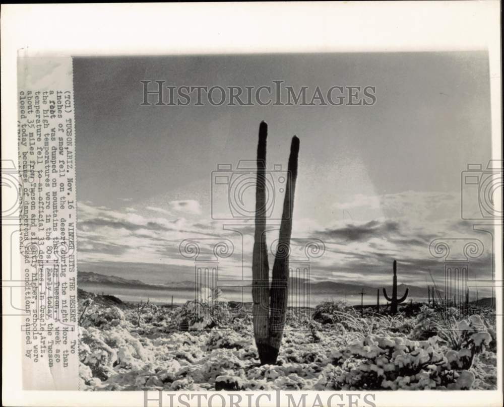 1964 Press Photo Snow blankets desert near Tucson, Arizona - hpw02800- Historic Images