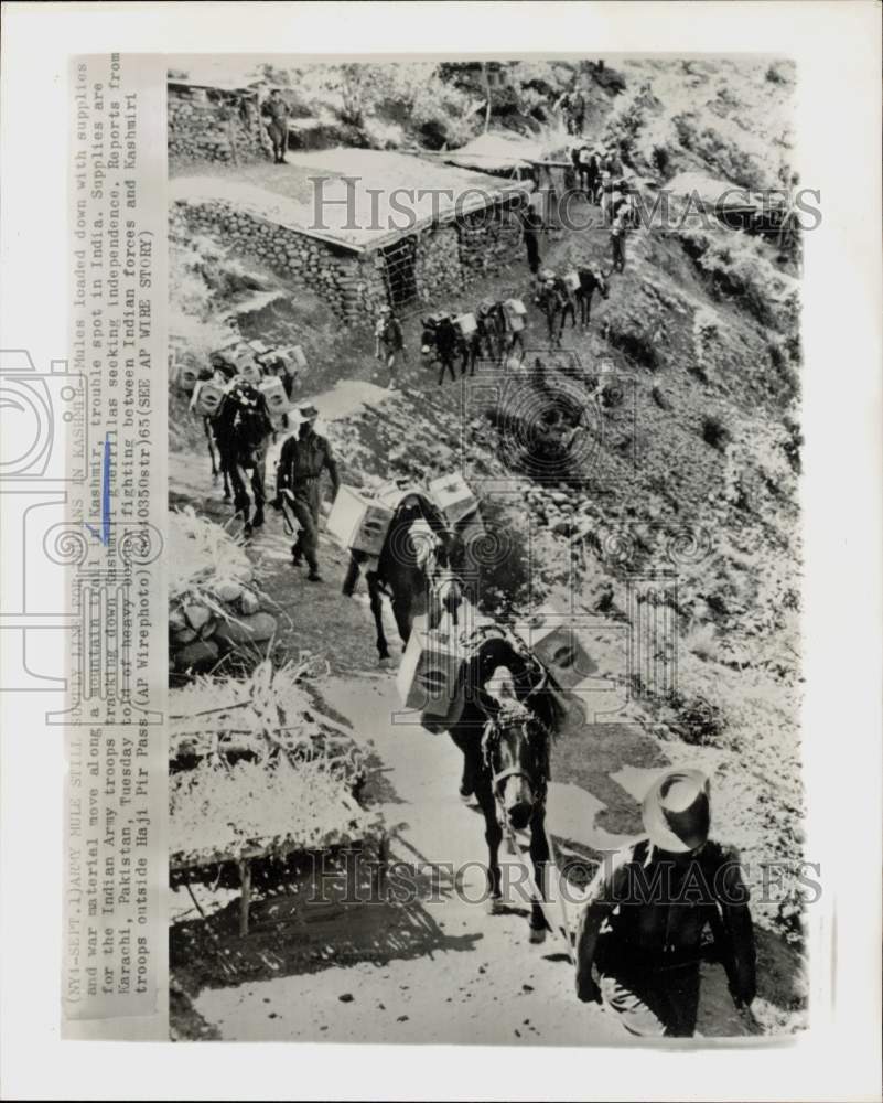 1965 Press Photo Mules carry supplies along a mountain trail in Kashmir, India- Historic Images