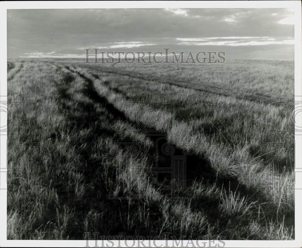 1963 Press Photo Wagon ruts in South Dakota prairie northeast of Scenic.- Historic Images